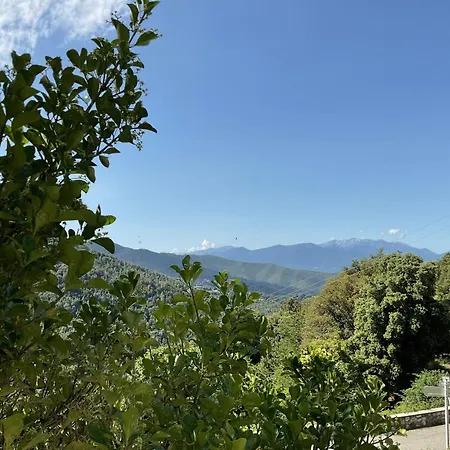 U Liccedu Hotel Bustanico