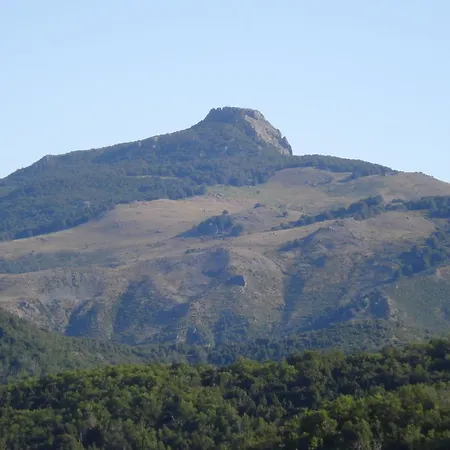 U Liccedu Bustanico