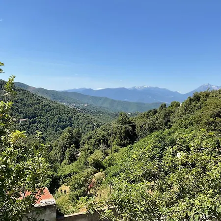 Hotel U Liccedu *