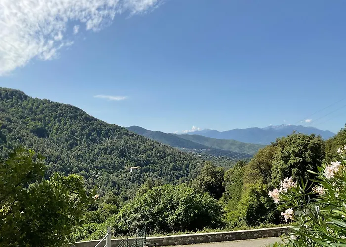 U Liccedu Hotel Bustanico