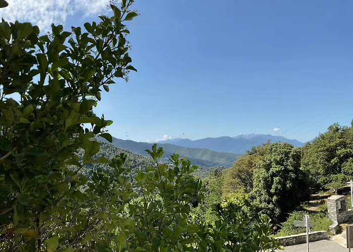 U Liccedu Hotel Bustanico