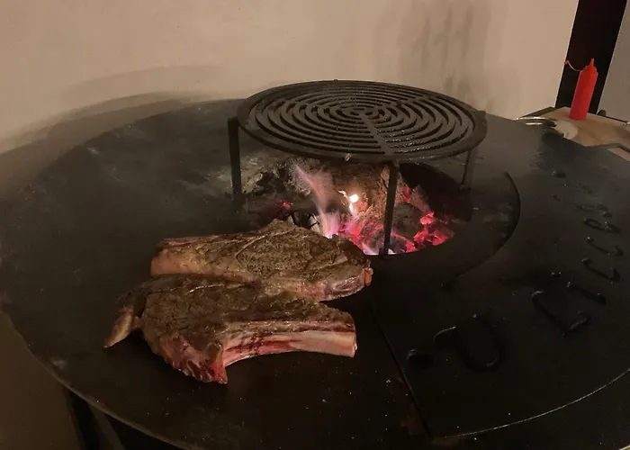 酒店 乌里赛杜酒店