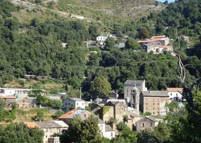 乌里赛杜酒店 酒店 *
